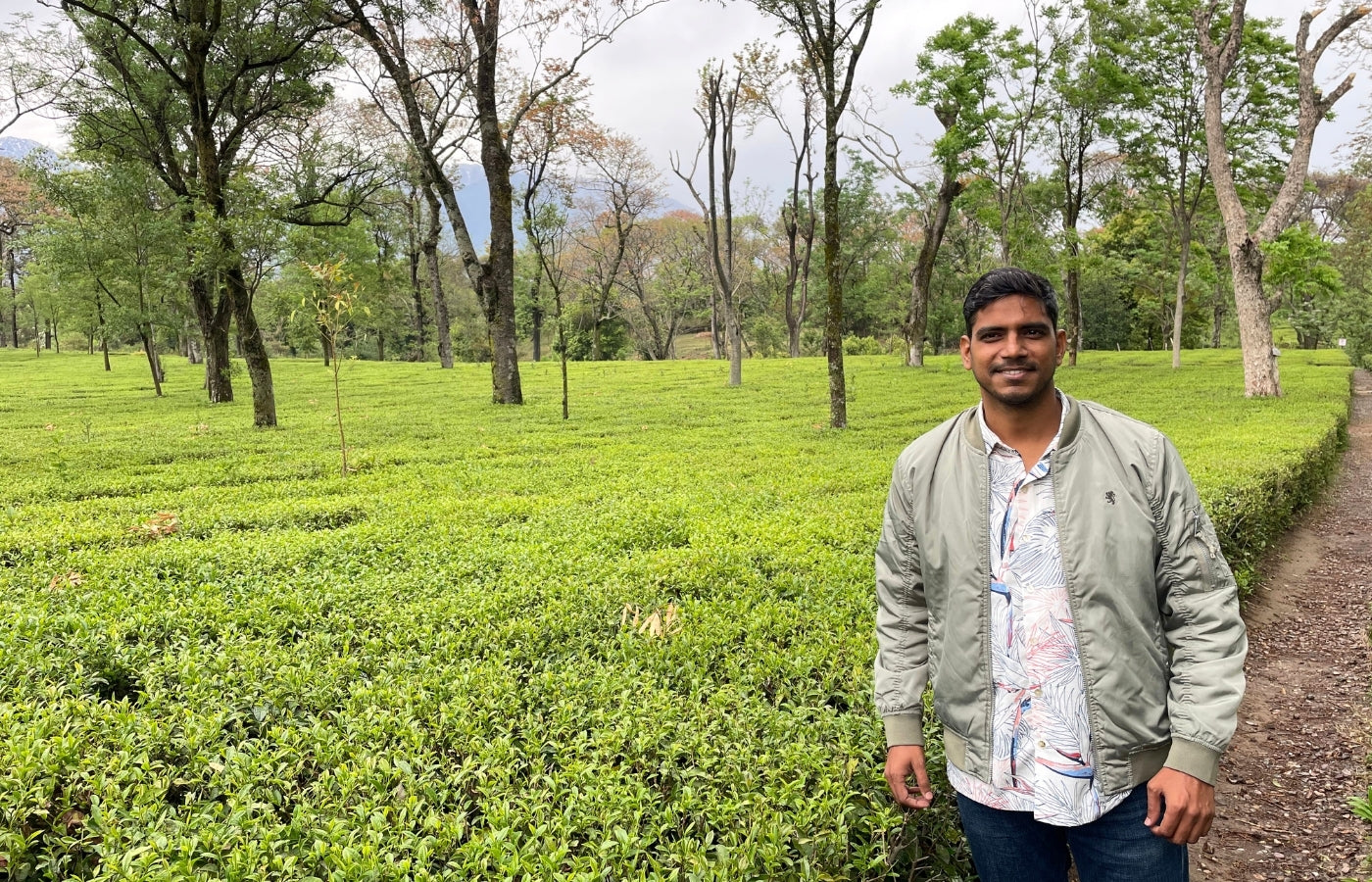 Man standing in a Kangra tea plantation with trees and mountains in the background
