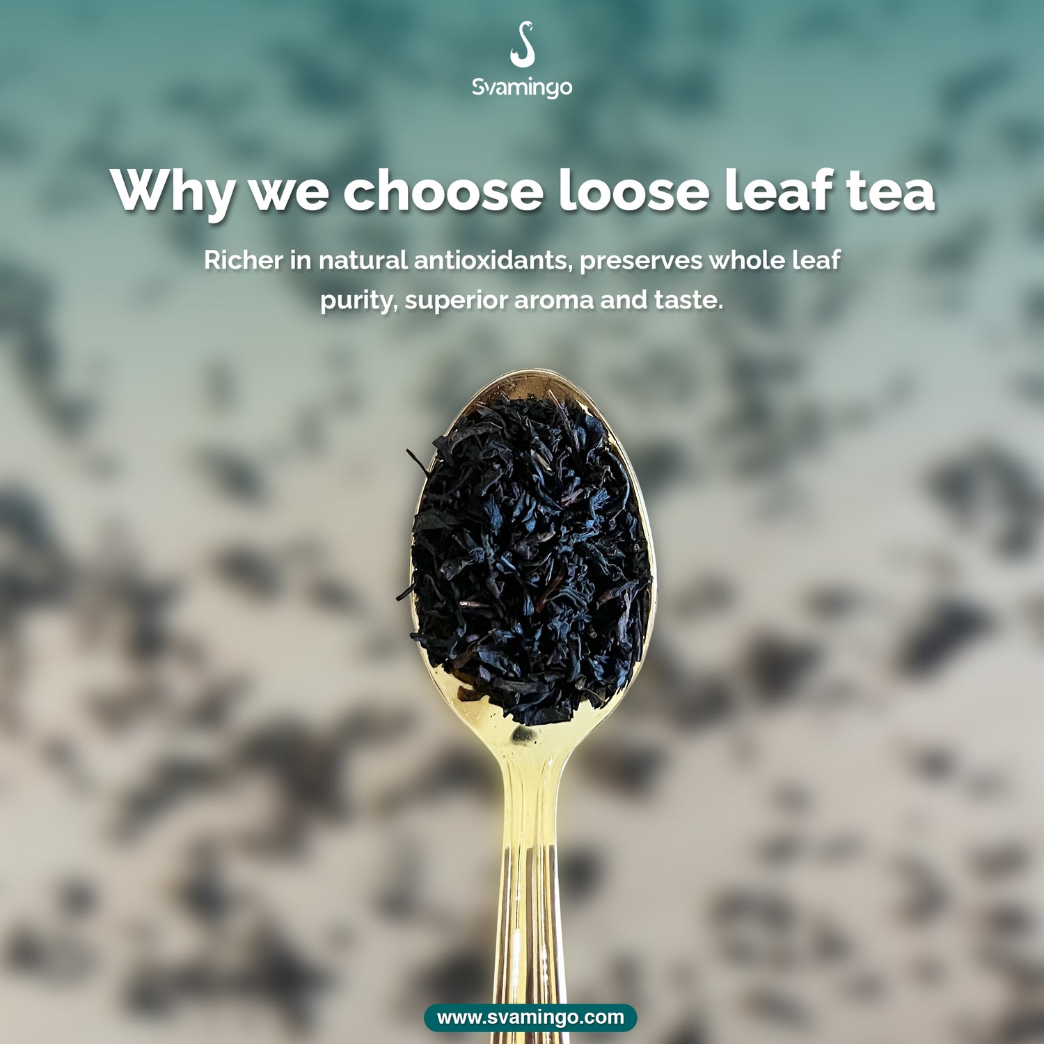 Gold spoon filled with svamingo ceylon black loose leaf tea against a blurred natural background, with text about the benefits of loose leaf tea.