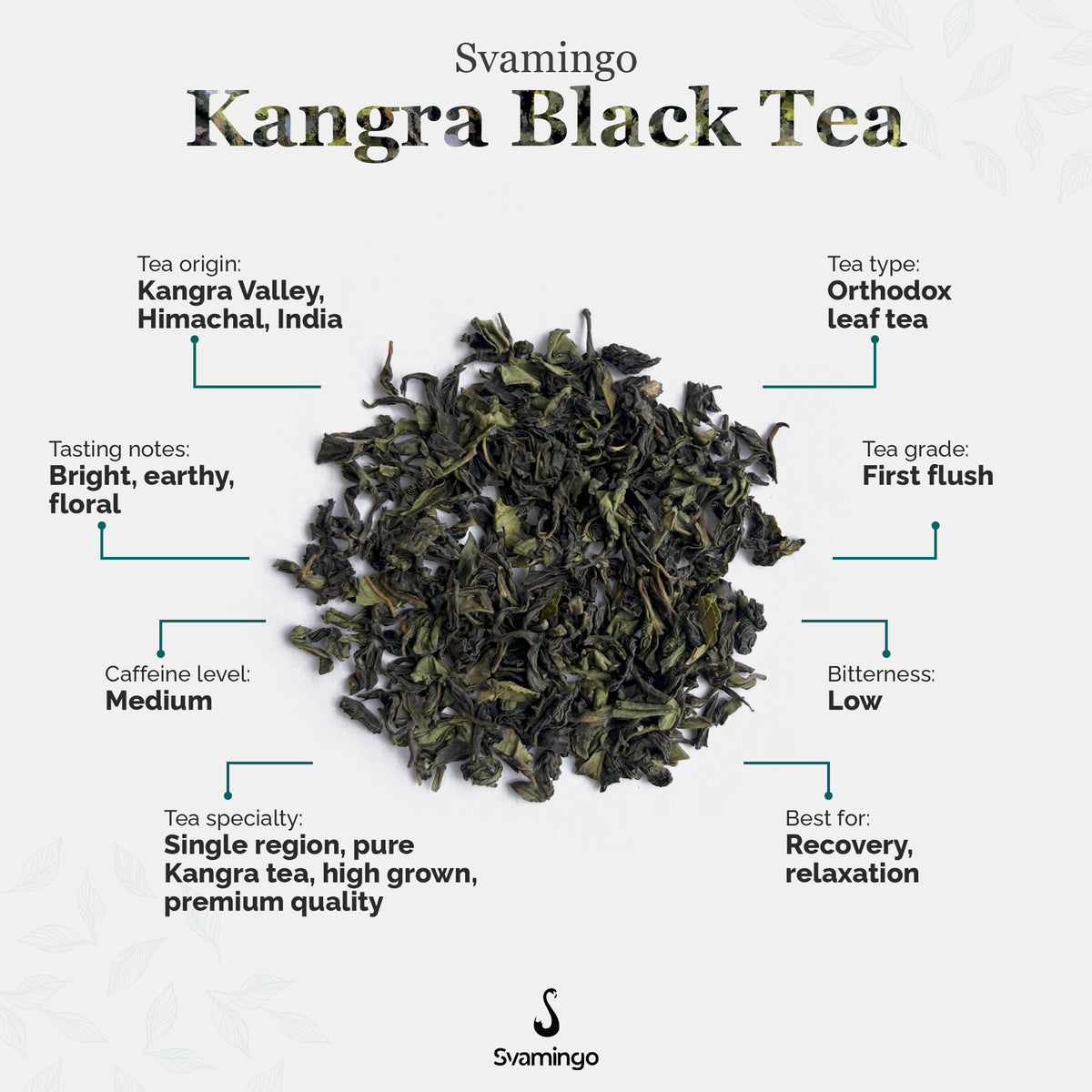 Svamingo Kangra Black Tea tea information (origin, type, tasting notes, tea grade, caffeine level, bitterness, specialty)